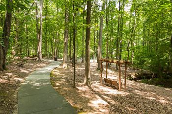 Scenic nature trail